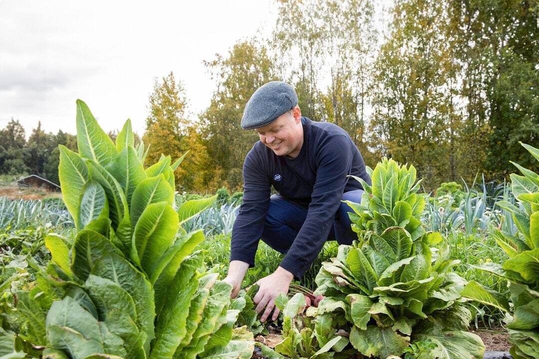 Web_Desktop-2024_ISS_FI_Chef en el campo