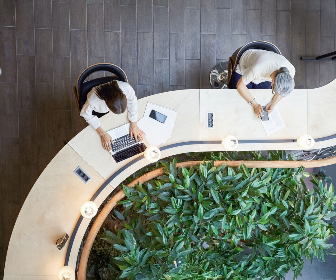 Web_Desktop-Joven estudiante y mujer adulta trabajando en el mismo escritorio